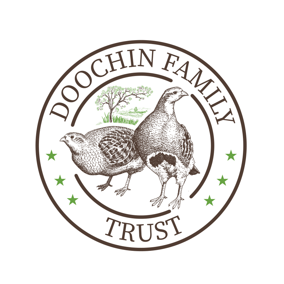 Doochin Family Trust Quail 1